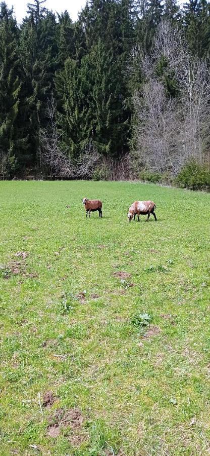 Na Zlabku * Horni Plana